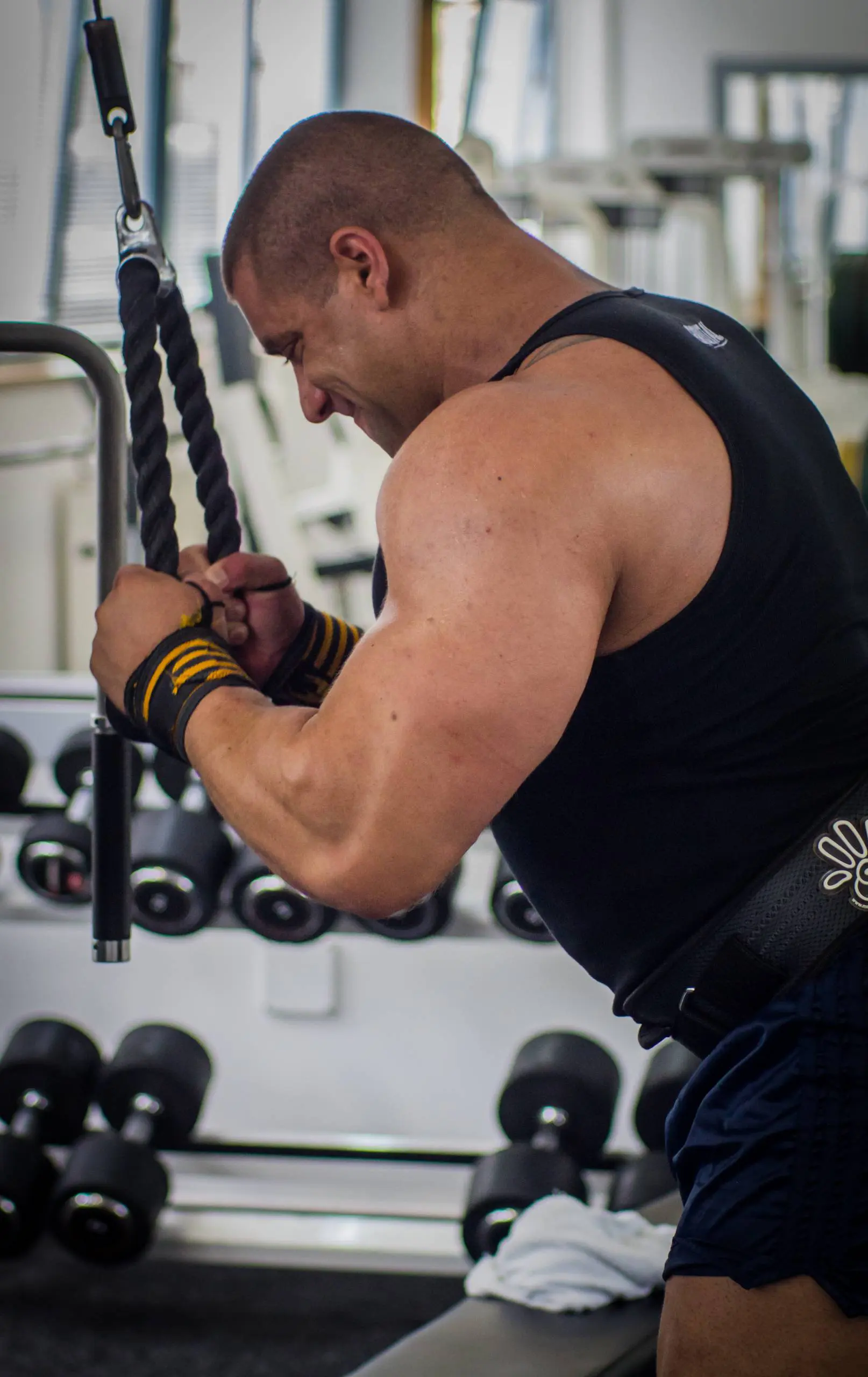 biotech_vhely-6_20120802163713