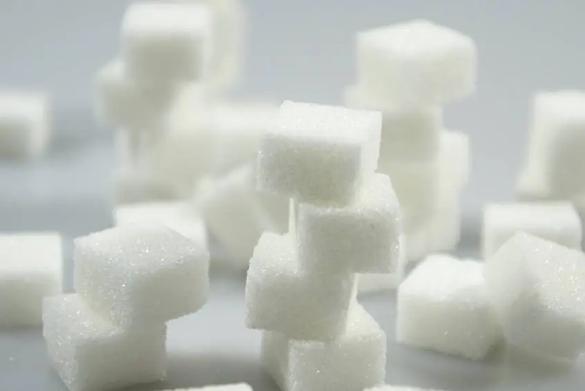 fotolia_1110461_s_20121112154233