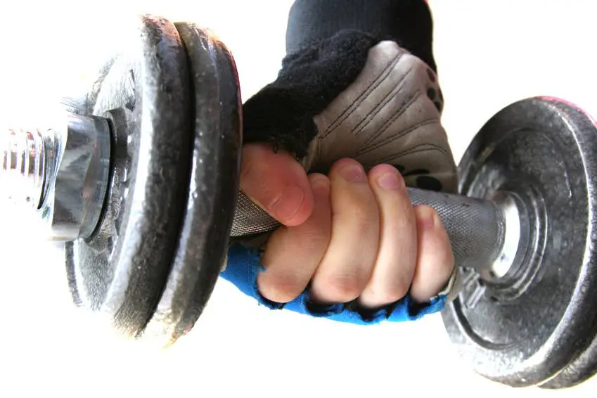 fotolia_2351421_s_20130212152711