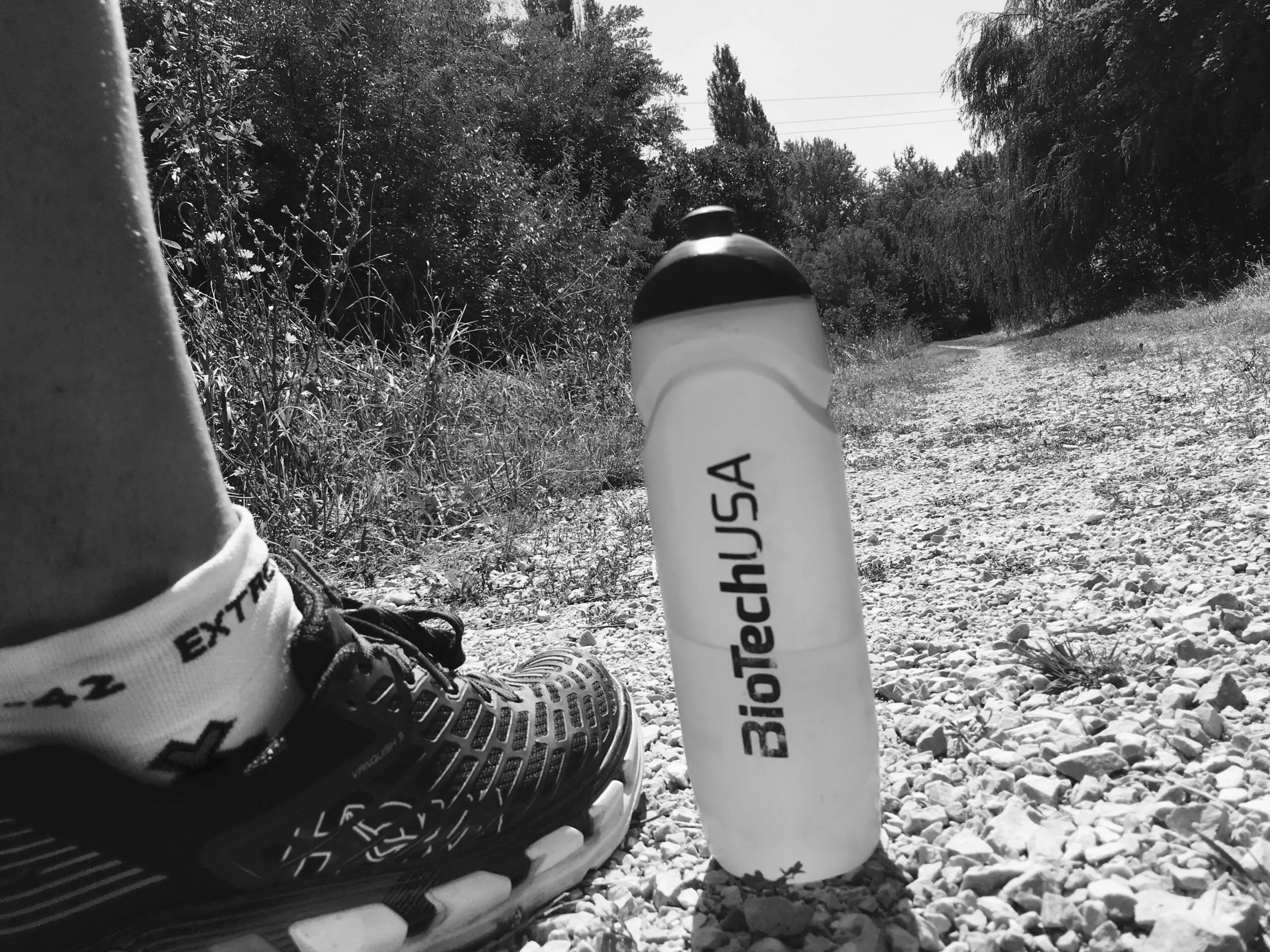 img_e4369_20180130164851