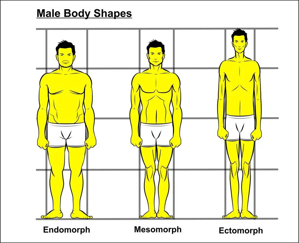 male_bodytypes_20150713101609