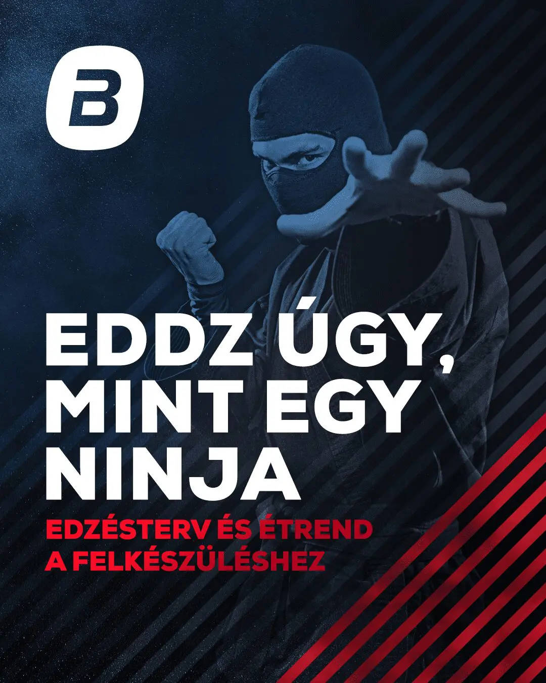 ninja_banner1080x1350_20181031142943