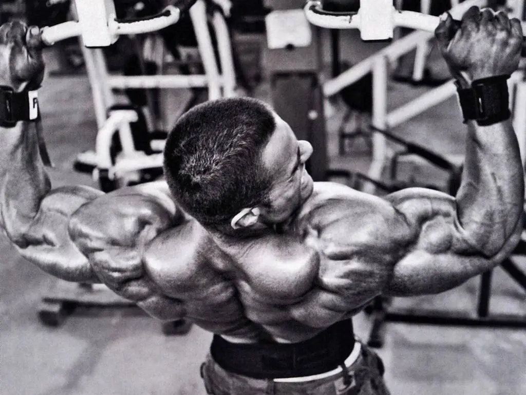 backmuscle2_20160108111757