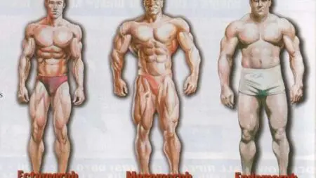 bodytypes7vqpx9_20130207152757