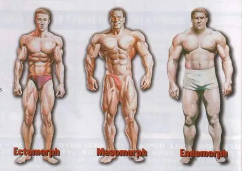 bodytypes7vqpx9_20130207152757