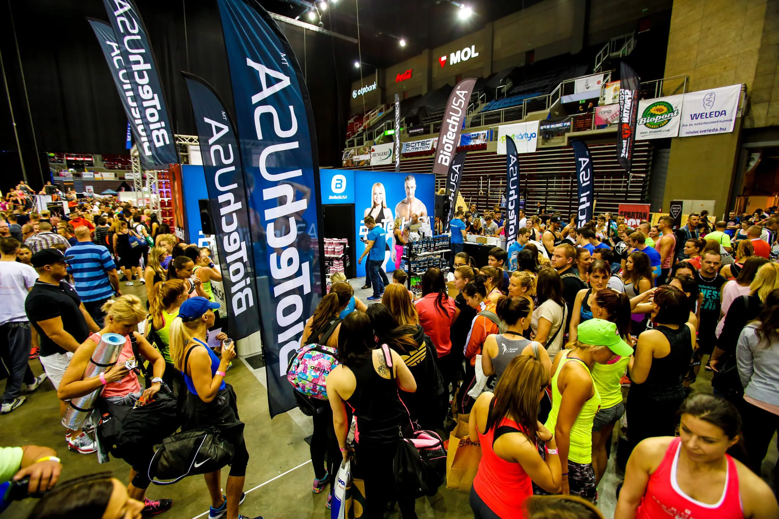 fitbalance_15_tavasz-1_20151020114246