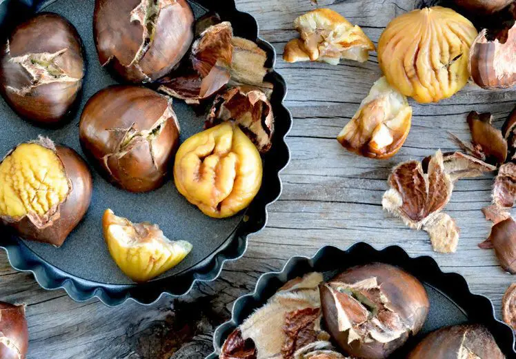 gesztenye_20190118234334