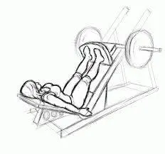 letoltes_20140930120304