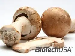 /sites/testbiotechusashop/documents/news/_extra/1512/o_144118champignons_de_paris-b9cdc96bee6f92209ae1b8823466eb37_20130809131311.jpg