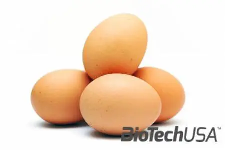 /sites/testbiotechusashop/documents/news/_extra/1426/o_2008_03_26-EggFreshness_20130612153024.jpg