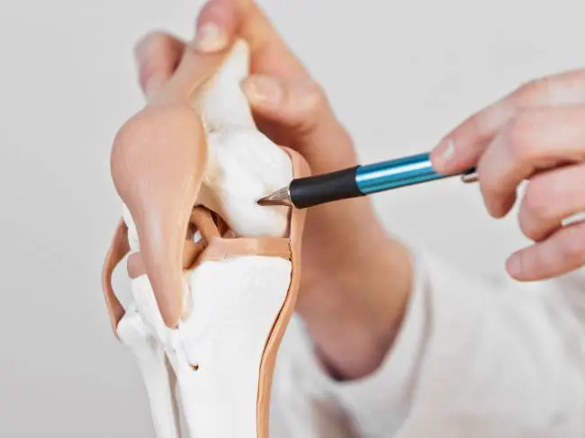 DE MELYEK AZOK A DEGENERATÍV ELVÁLTOZÁSOK, AMELYEK EZT A FURCSA HANGOT HALLATJÁK? DE MELYEK AZOK A DEGENERATÍV ELVÁLTOZÁSOK, AMELYEK EZT A FURCSA HANGOT HALLATJÁK?