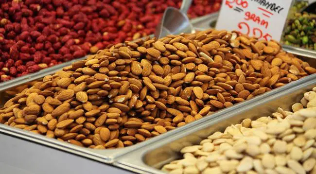 Olajos magvak - BioTechUSA Növényi fehérjeforrások - Olajos magvak