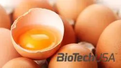 /sites/testbiotechusashop/documents/news/_extra/1510/o_942799-eggs_20130808171508.jpg
