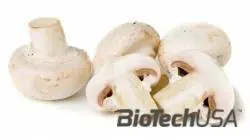 /sites/testbiotechusashop/documents/news/_extra/1512/o_Champignons_20130809131417.jpg
