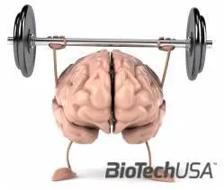 /sites/testbiotechusashop/documents/news/_extra/1363/o_Fotolia_31097789_M_20130308153619.jpg
