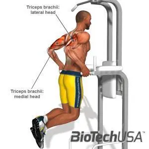 /sites/testbiotechusashop/documents/news/_extra/1224/o_Triceps-Exercises_l_20121011133456.jpg /sites/testbiotechusashop/documents/news/_extra/1224/o_Triceps-Exercises_l_20121011133456.jpg