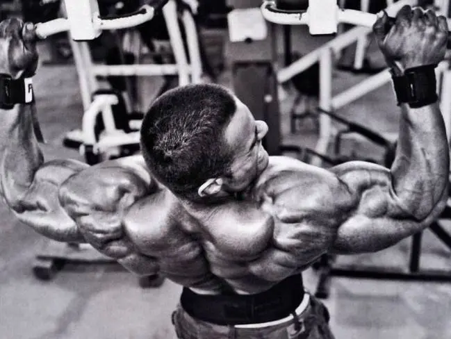 Masszív tónusos hátizom Masszív tónusos hátizom