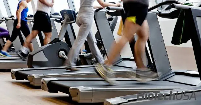 /sites/testbiotechusashop/documents/news/_extra/1855/o_cardio_20160108133802.jpg /sites/testbiotechusashop/documents/news/_extra/1855/o_cardio_20160108133802.jpg