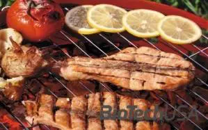 /sites/testbiotechusashop/documents/blog/_extra/87/o_chicken-on-grill_w520_20140606095609.jpg