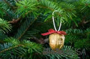 /sites/testbiotechusashop/documents/news/_extra/1075/o_christmas_tree_nut_decorations_20120810125709.jpg