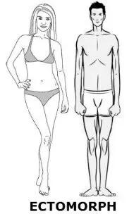 Ektomorf testalkat