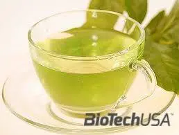 /sites/testbiotechusashop/documents/news/_extra/1239/o_green-ta2_20121026120022.jpg