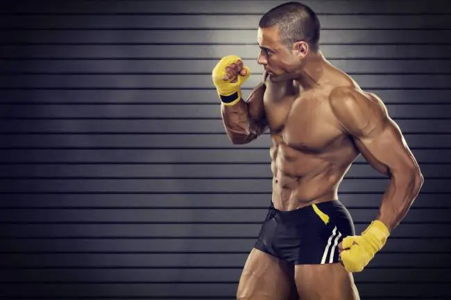 Izomrost típusok - kisportolt férfi Izomrost típusok - kisportolt férfi