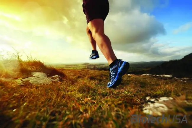 /sites/testbiotechusashop/documents/news/_extra/1805/o_iStock_000036109004XXXLarge_20150903154034.jpg /sites/testbiotechusashop/documents/news/_extra/1805/o_iStock_000036109004XXXLarge_20150903154034.jpg