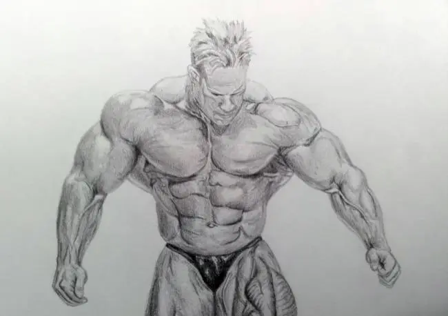 Testépítő rajz Testépítő rajz