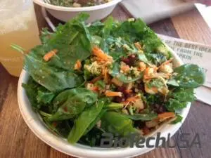 /sites/testbiotechusashop/documents/blog/_extra/165/o_sweetgreen-boston-spicy-sabzi-salad-500x375_20150219140512.jpg