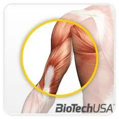 /sites/testbiotechusashop/documents/news/_extra/1224/o_triceps1_20121011133430.jpg