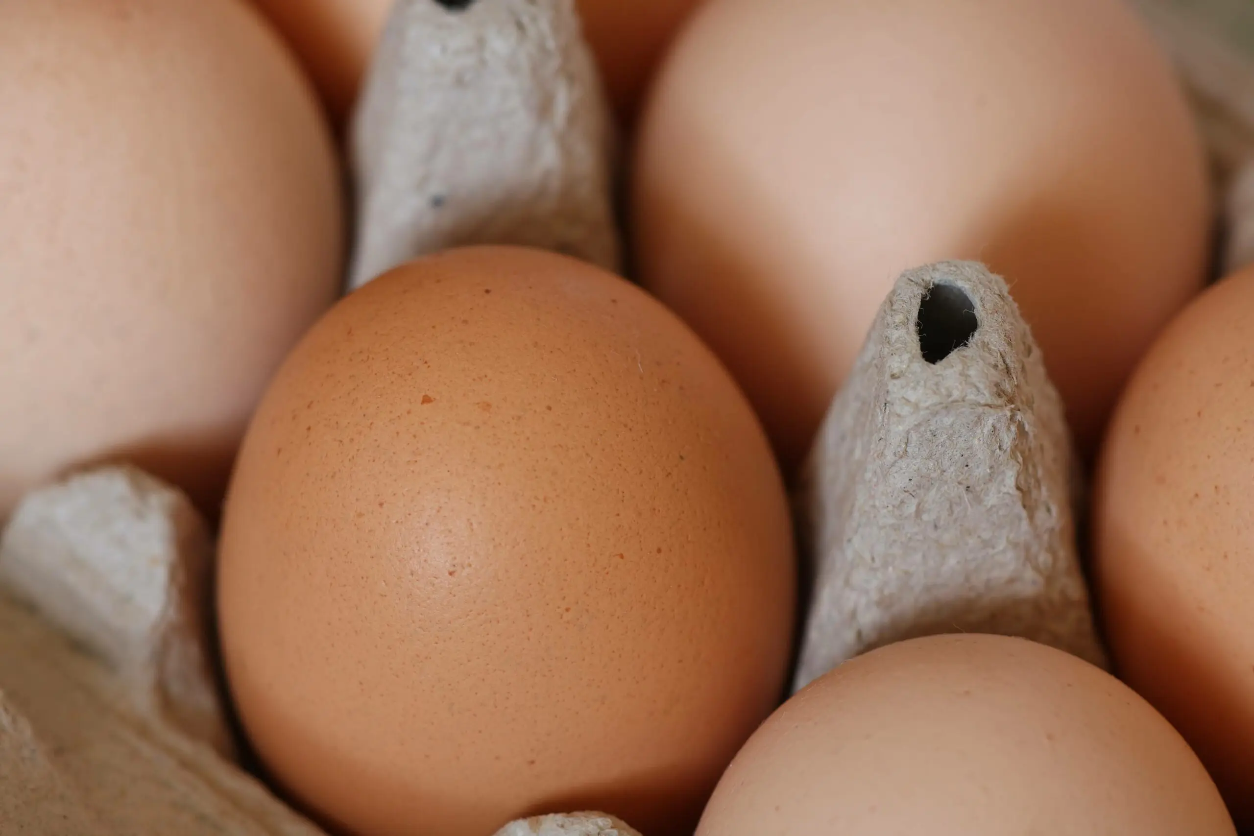 shutterstock_33857164_20130612152436