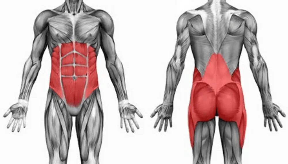 Mit jelent a “core”? Milyen izmok tartoznak a core (törzs)izmokhoz?