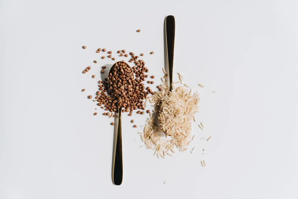 A szénhidrátok fajtái