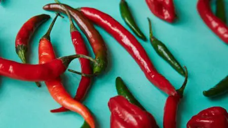 Zsírégető ételek