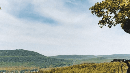 Emésztést segítő italok: 13 természetes megoldás a jobb bélműködésért