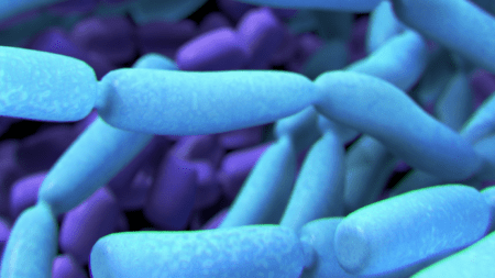 Mire jók a probiotikumok, és mikor érdemes pótolni azokat?