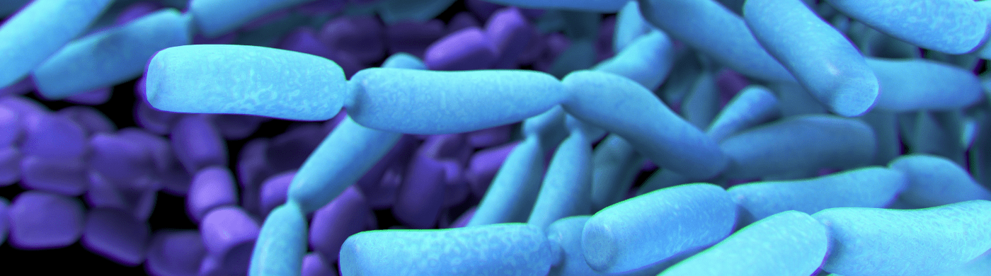 Mire jók a probiotikumok, és mikor érdemes pótolni azokat?