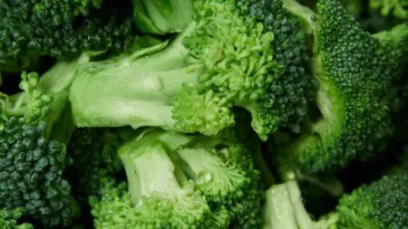 Brokkolis receptek – egészséges, fehérjében gazdag ételek