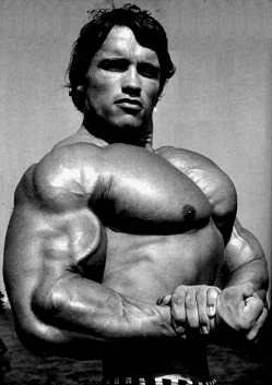 Arnold Schwarzenegger a testépítés szabályai