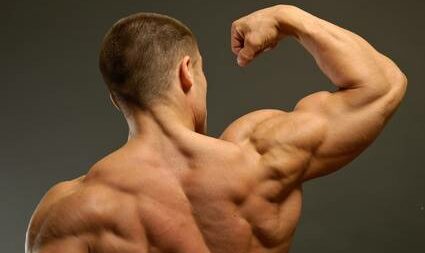 rear_deltoid_20130208135409