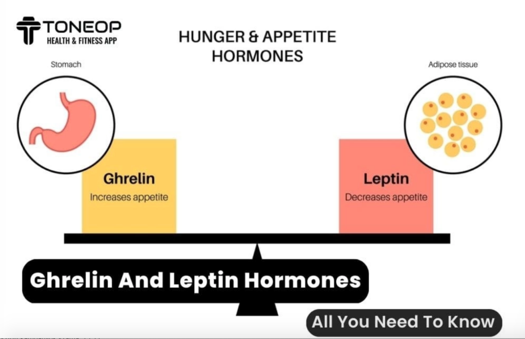 Az egészségesen működő testben az üres gyomor a ghrelin hormon segítségével jelzést küld az agyba: éhes vagyok