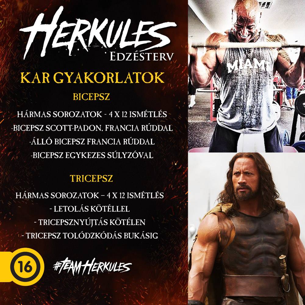 Herkules edzésterv - Dwayne Johnson bicepsz és tricepsz gyakorlatok