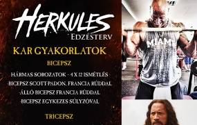 Herkules edzésterv – kar Herkules edzésterv – kar