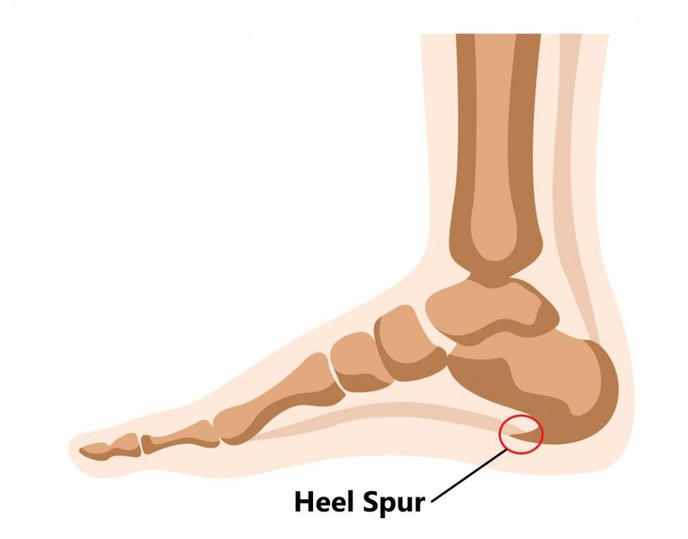 lábfej részei fájdalom a csípőben és az alsó hasban